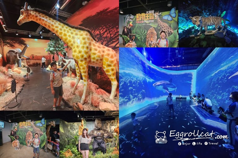 動物王國大探險展－比薩大學自然史博物館 國立臺灣科學教育館 士林科教館
