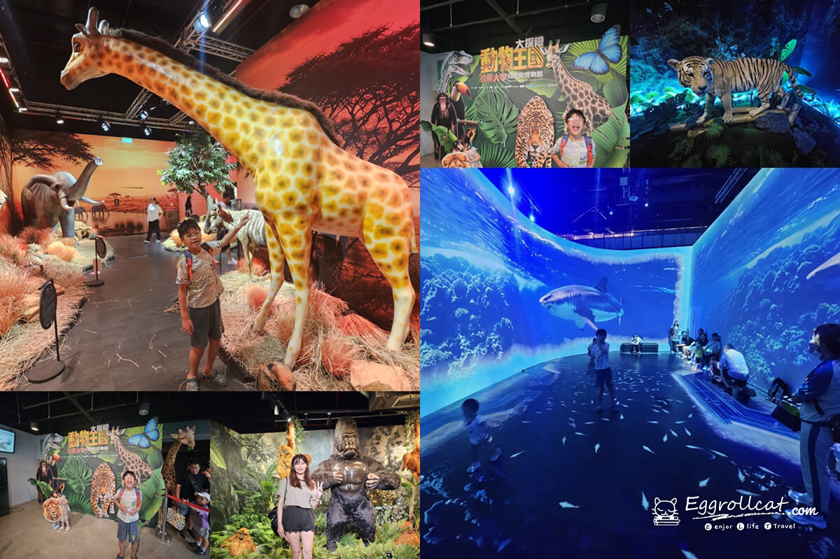 動物王國大探險展－比薩大學自然史博物館 國立臺灣科學教育館 士林科教館