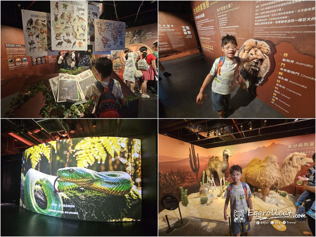 動物王國大探險展－比薩大學自然史博物館 國立臺灣科學教育館 士林科教館