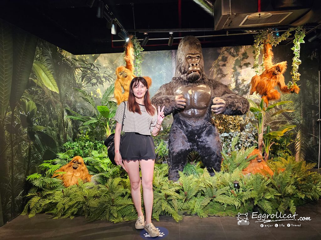 
動物王國大探險展－比薩大學自然史博物館 
國立臺灣科學教育館
士林科教館
