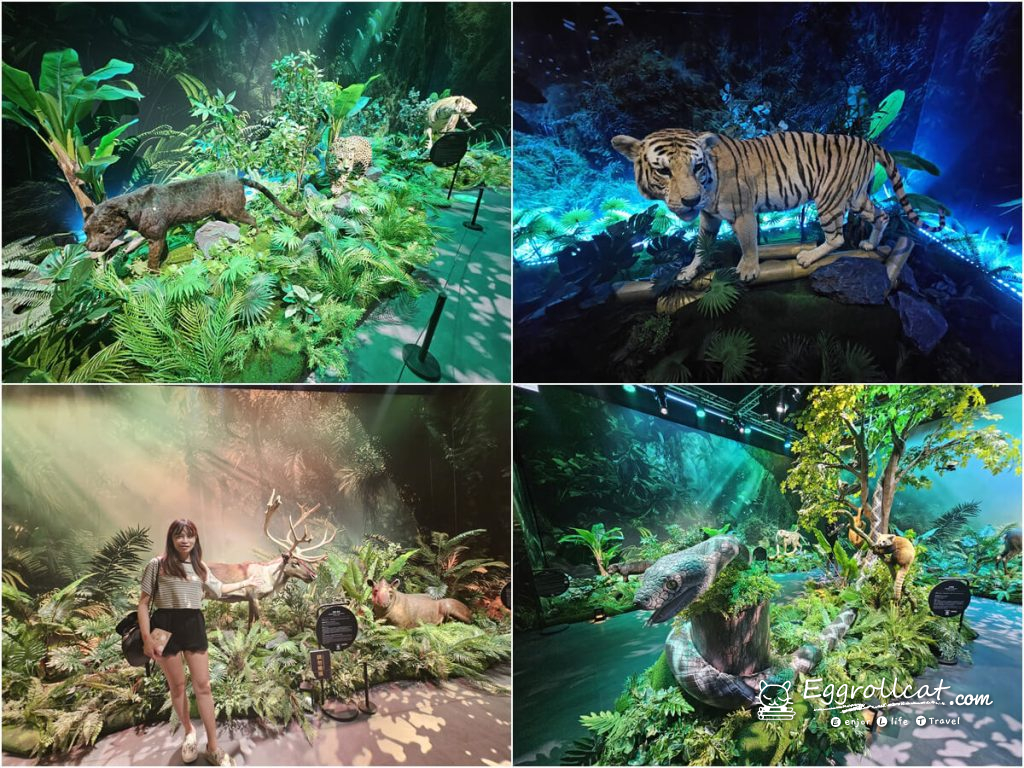 
動物王國大探險展－比薩大學自然史博物館 
國立臺灣科學教育館
士林科教館