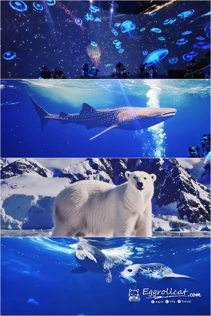 
動物王國大探險展－比薩大學自然史博物館 
國立臺灣科學教育館
士林科教館