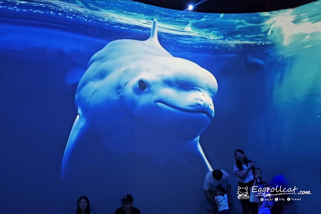 動物王國大探險展－比薩大學自然史