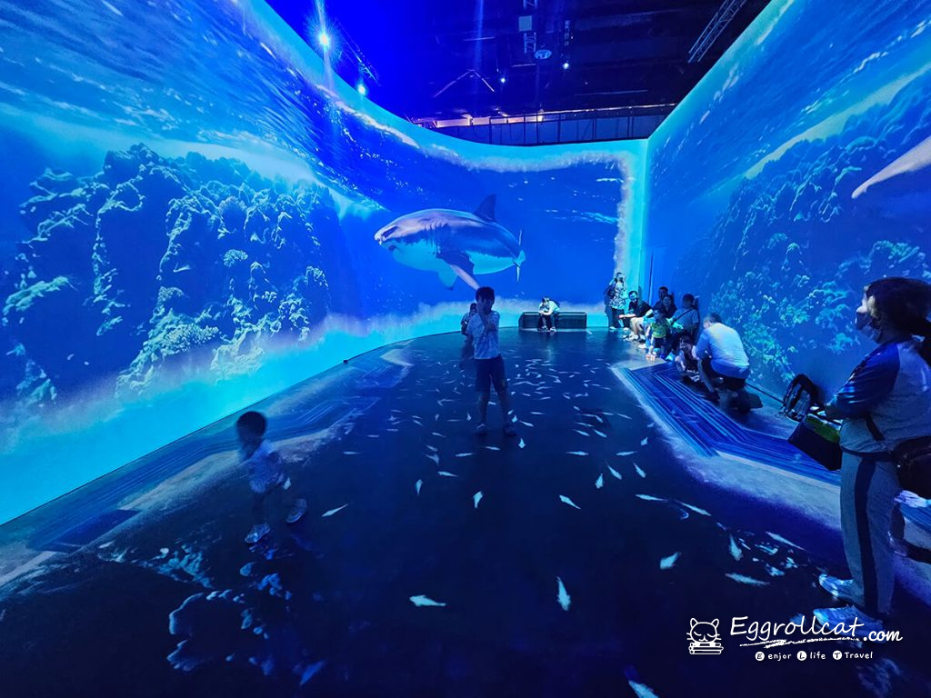 
動物王國大探險展－比薩大學自然史博物館 
國立臺灣科學教育館
士林科教館