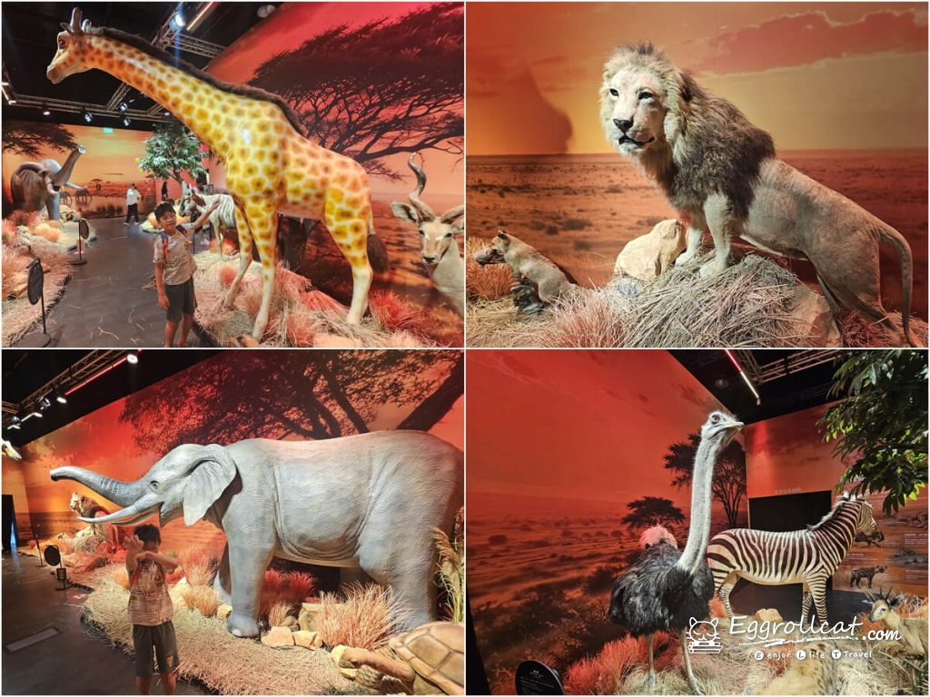 
動物王國大探險展－比薩大學自然史博物館 
國立臺灣科學教育館
士林科教館