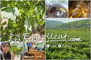 杜羅河谷 Douro Valley