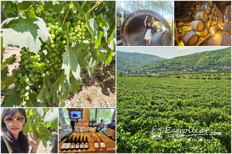 杜羅河谷 Douro Valley