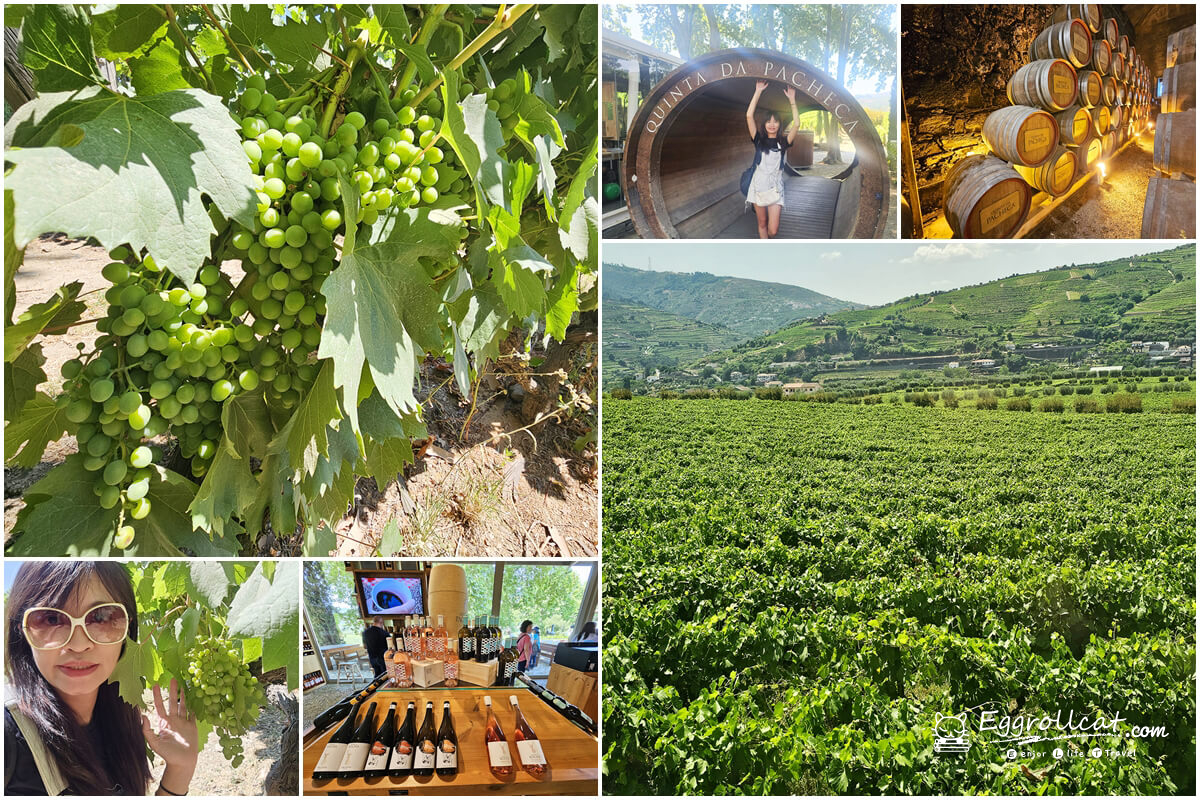 【葡萄牙旅遊】杜羅河谷酒莊 Douro Valley|從葡萄田到酒杯的品酒之旅 杜羅河谷 Douro Valley