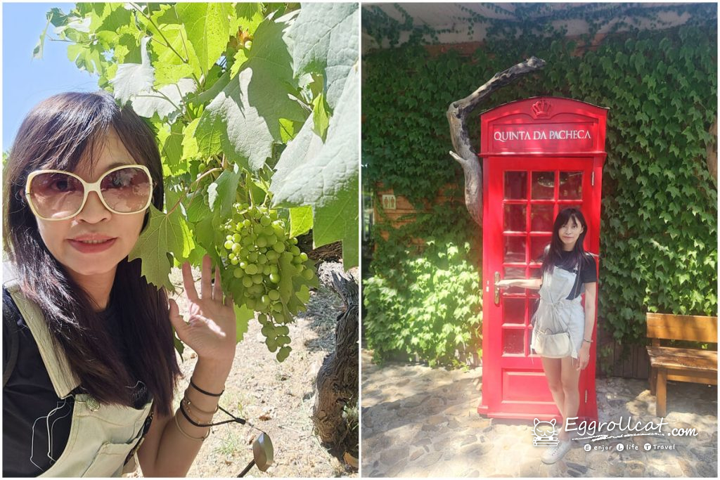 【葡萄牙旅遊】杜羅河谷酒莊 Douro Valley｜從葡萄田到酒杯的品酒之旅