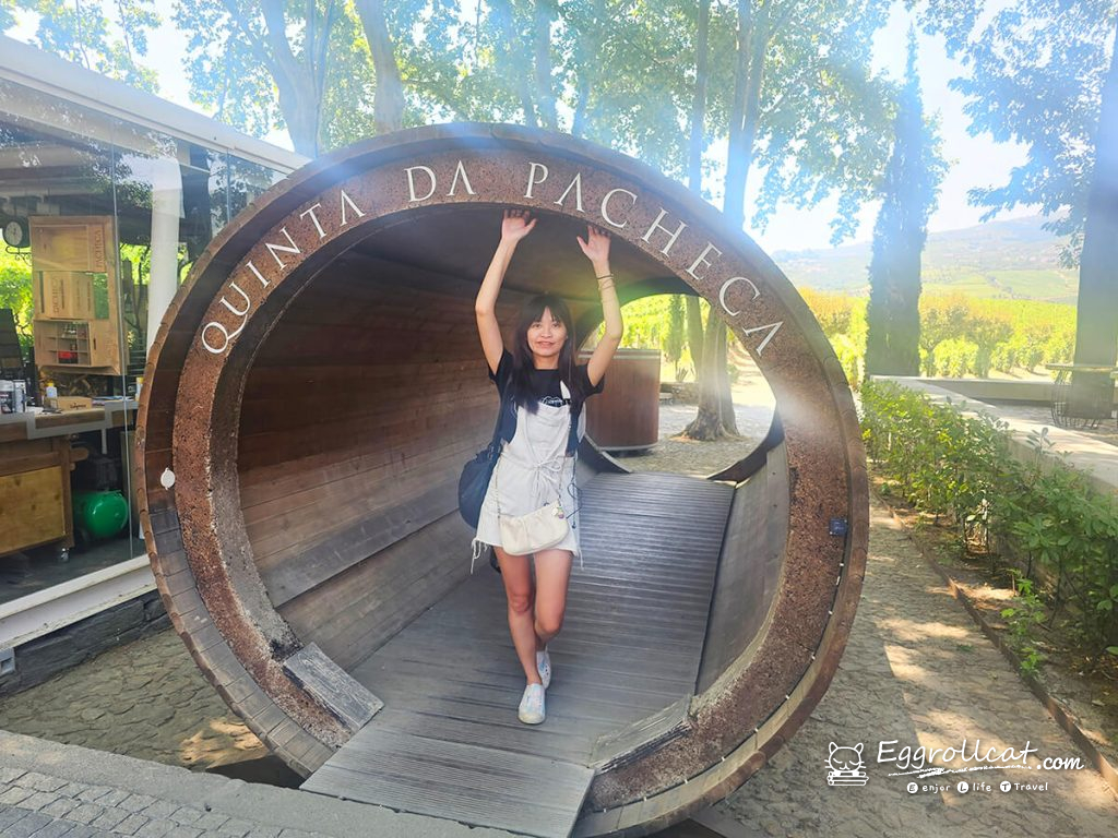 【葡萄牙旅遊】杜羅河谷酒莊 Douro Valley｜從葡萄田到酒杯的品酒之旅
