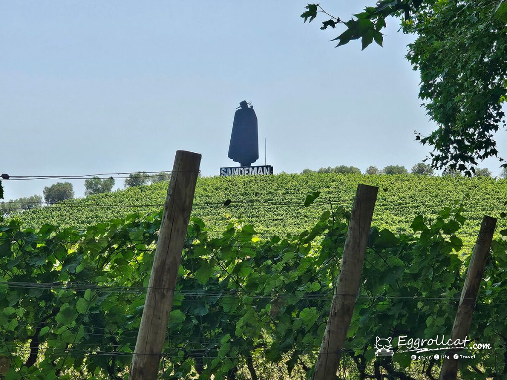 【葡萄牙旅遊】杜羅河谷酒莊 Douro Valley｜從葡萄田到酒杯的品酒之旅