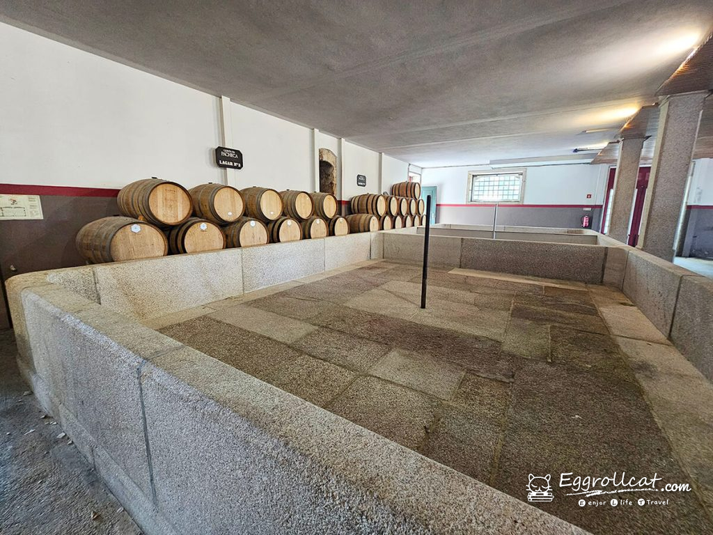 【葡萄牙旅遊】杜羅河谷酒莊 Douro Valley｜從葡萄田到酒杯的品酒之旅