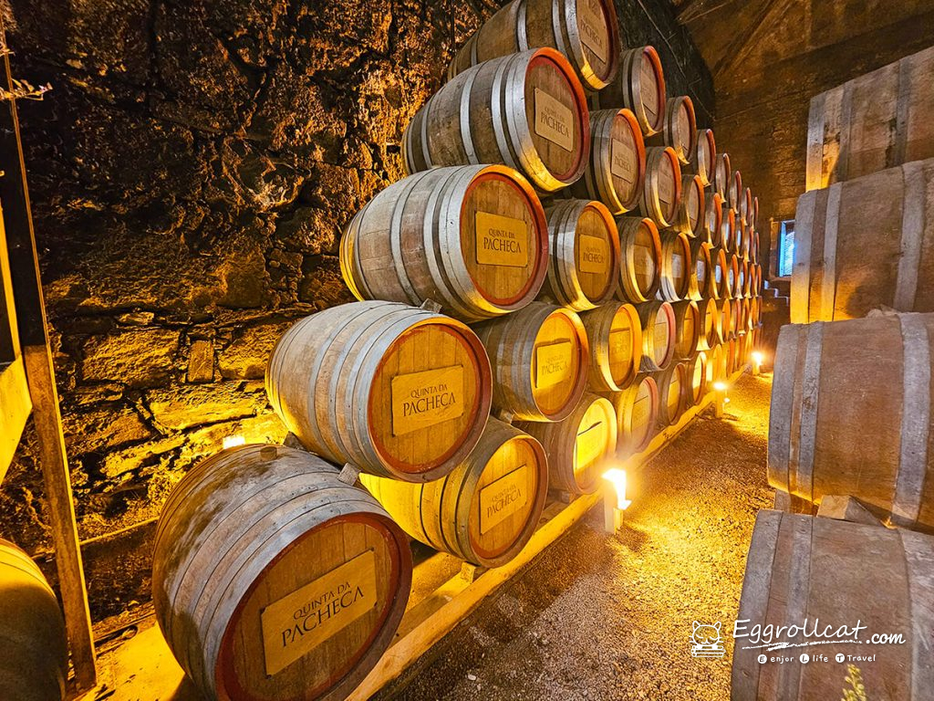 【葡萄牙旅遊】杜羅河谷酒莊 Douro Valley｜從葡萄田到酒杯的品酒之旅