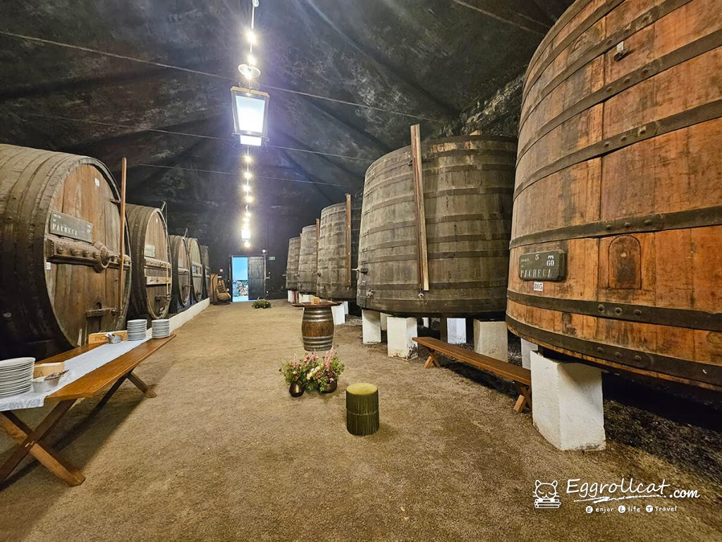 【葡萄牙旅遊】杜羅河谷酒莊 Douro Valley｜從葡萄田到酒杯的品酒之旅