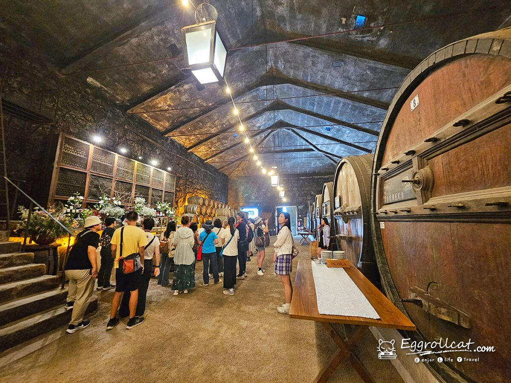 【葡萄牙旅遊】杜羅河谷酒莊 Douro Valley｜從葡萄田到酒杯的品酒之旅
