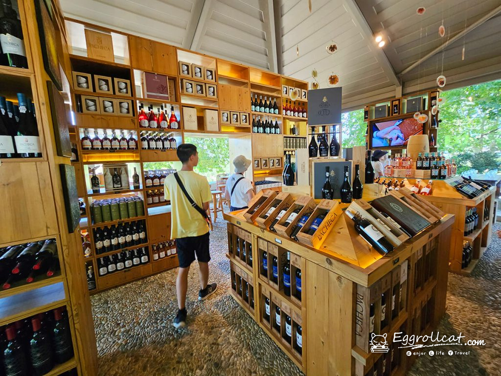 【葡萄牙旅遊】杜羅河谷酒莊 Douro Valley｜從葡萄田到酒杯的品酒之旅