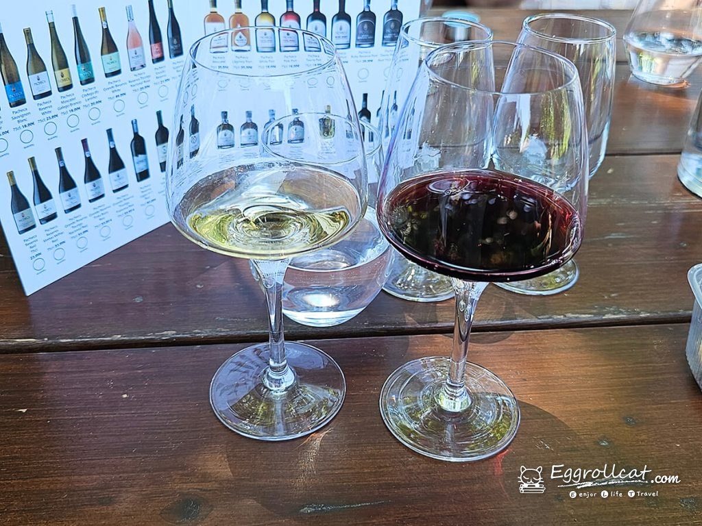 【葡萄牙旅遊】杜羅河谷酒莊 Douro Valley｜從葡萄田到酒杯的品酒之旅