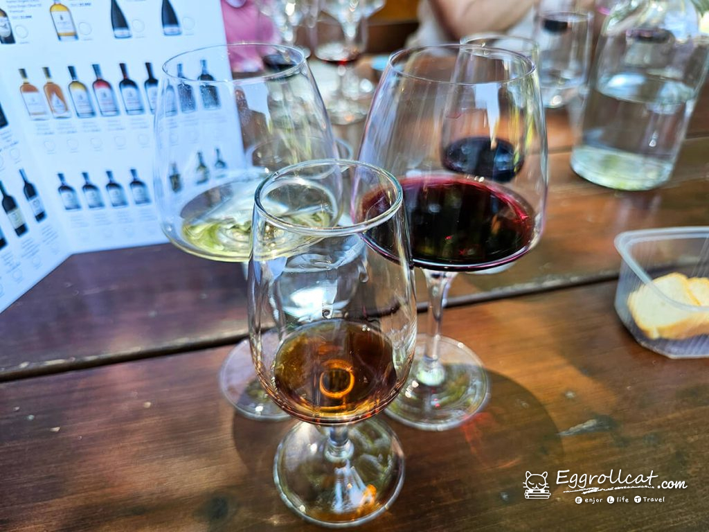 【葡萄牙旅遊】杜羅河谷酒莊 Douro Valley｜從葡萄田到酒杯的品酒之旅