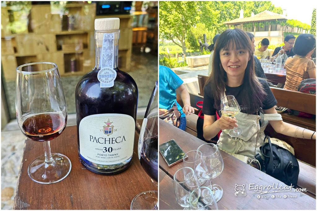 【葡萄牙旅遊】杜羅河谷酒莊 Douro Valley｜從葡萄田到酒杯的品酒之旅